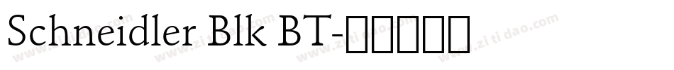 Schneidler Blk BT字体转换
